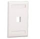 Faceplate Vertical Panduit para Montaje Eficaz