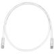 Cable de Parche UTP Panduit de Alta Calidad