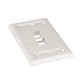 Tapa de Faceplate Vacío Panduit para Conexiones