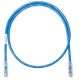 Cable Patch Panduit 30 cm Azul - Alta Calidad